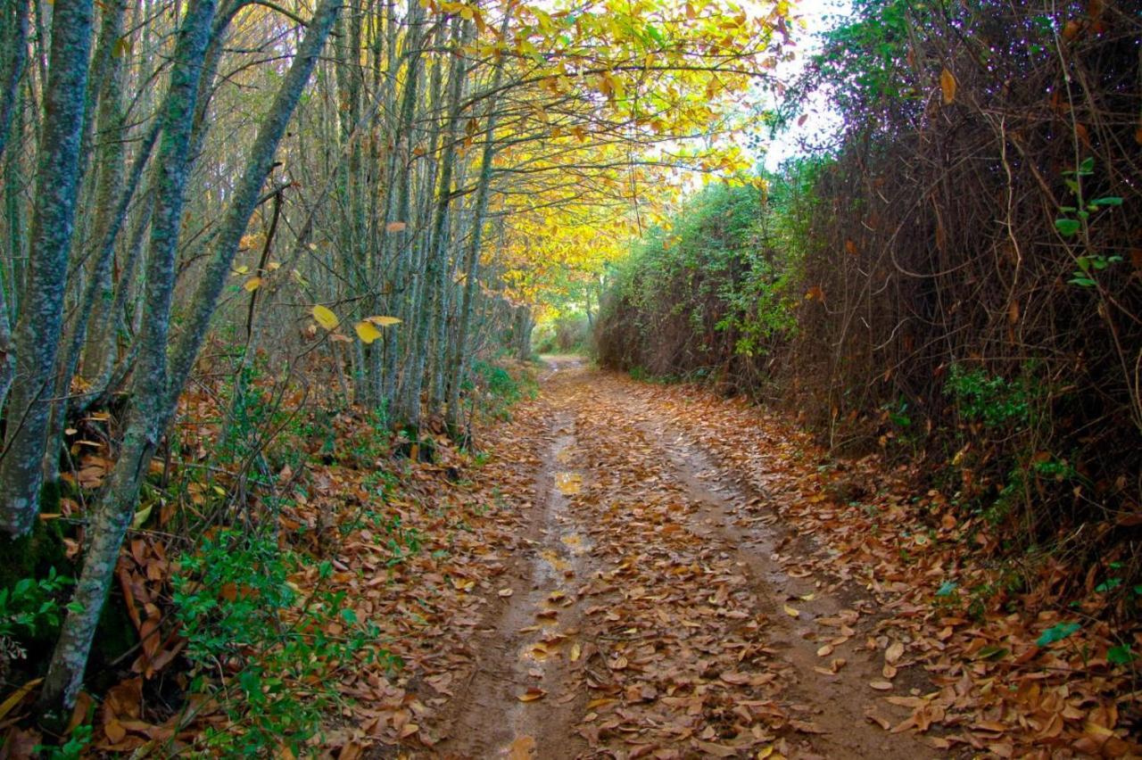 Mi Pequeno Refugio Villa Constantina Buitenkant foto